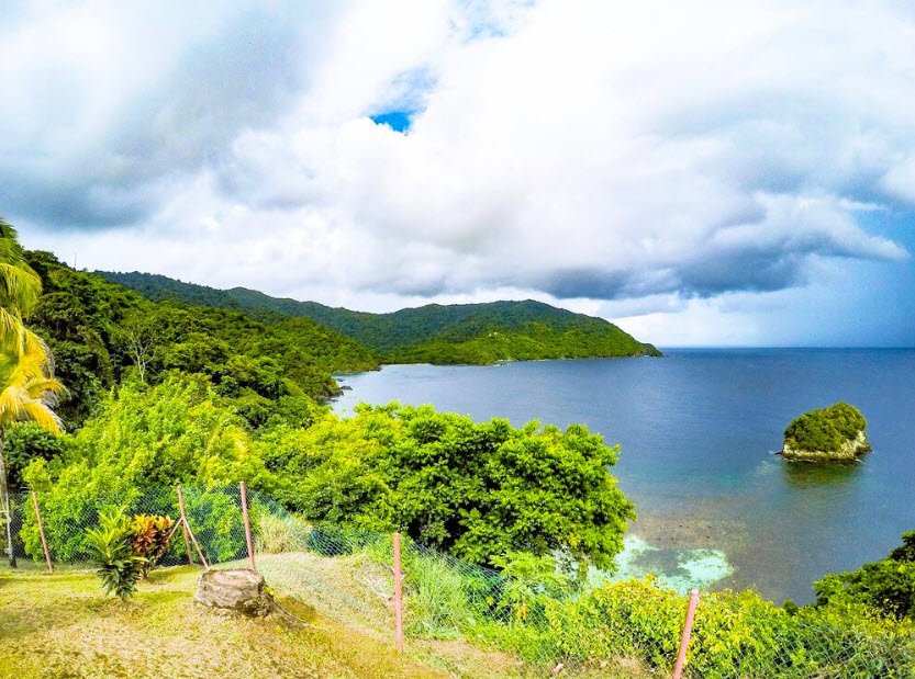 Main Ridge Forest Reserve, Tobago, Trinidad and Tobago